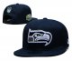 Seattle Seahawks Navy Cap