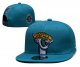 Jacksonville Jaguars Teal Cap
