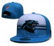 Carolina Panthers Blue Cap